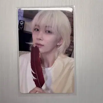 SEVENTEEN 정한 트레이딩 카드 spill the feels