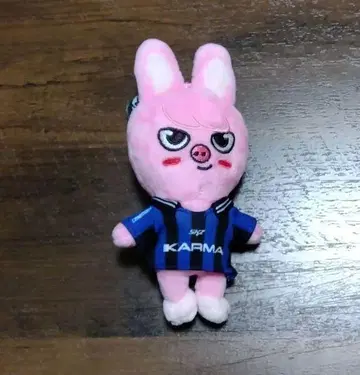 Straykids KARMA skzoo ver 창빈 돼끼