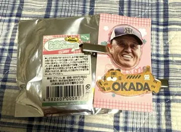 [ 레어 ] 오카다 아키노부 오카다 감독 시크릿 헤어 클립