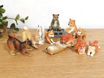 느긋한 시바견 10마리 세트 미니 블록 포함