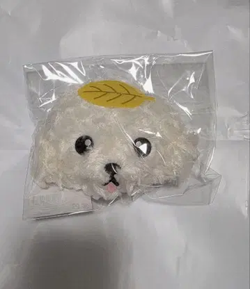 창민 파우치 파우치