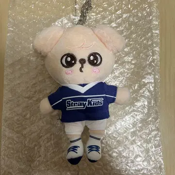 Stray Kids 승민 백참
