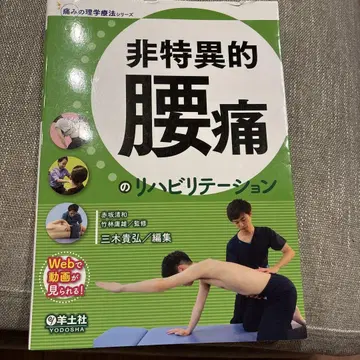 비특이적 요통의 재활 치료