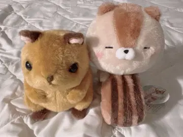 다람쥐 봉제 인형 세트