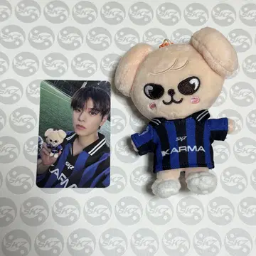 stray kids 승민 트레이딩 카드 skzoo