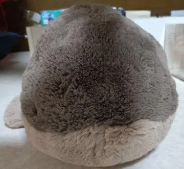 두오르 봉제 인형