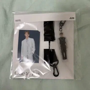 seventeen 준 ode to you 스트랩