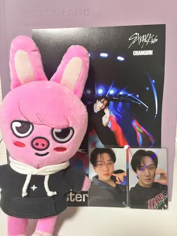 스키즈 창빈 봉제 인형 & KARMA 포토카드 세트