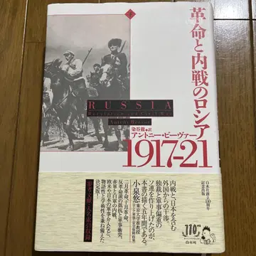혁명과 내전의 러시아 1917-21. 아래