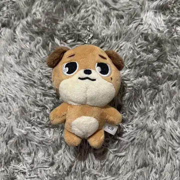 도운 don 백참