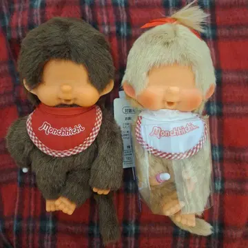 몽치치
