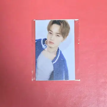 마사히로 Scawaii! 트레이딩 카드