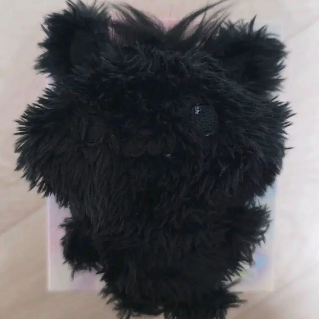 NCT WISH WISH DOLL POPUP シオン シオニン シークレット nctwish