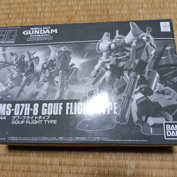 HG 구프 플라이트 타입