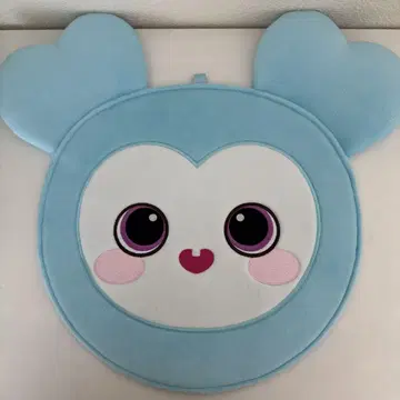 twice 나연 부채 케이스 커버 나블리