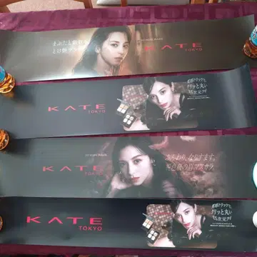 3종 세트!! 나카조 아야미 KATE 포스터