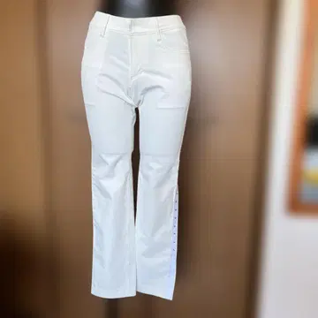 댄스 위드 드래곤 팬츠