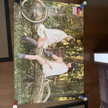 걸스 경륜 특대형 포스터 146cm 103cm