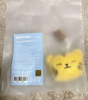 SEVENTEEN MINITEEN 페이스 키링 호시