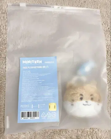 SEVENTEEN MINITEEN 페이스 키링 디노