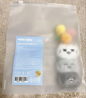 SEVENTEEN MINITEEN 페이스 키링 준