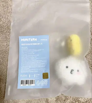 SEVENTEEN MINITEEN 페이스 키링 우지