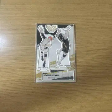 SV 리그 히나타 쇼요 카게야마 토비오 아크릴 스탠드