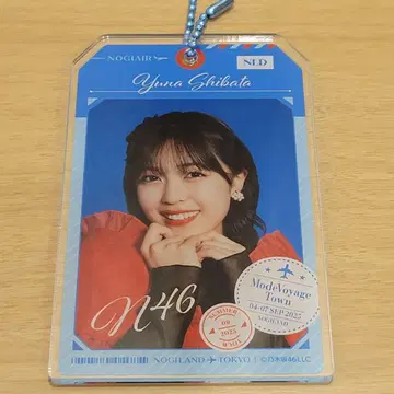 노기자카46 노기메쿠리 A상 시바타 유나