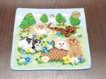 10일 한정 페이 필드 퍼피