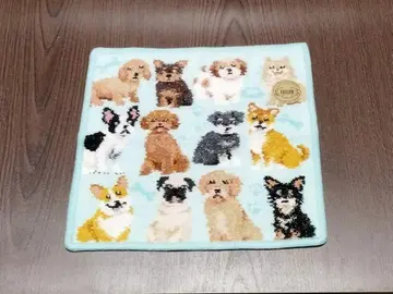 10일까지 한정판 페이 마이큐트파피