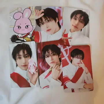 ATEEZ ANITEEZ POPUP 팝업 랜덤 포토카드 컴플리트 성화