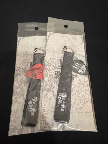 전기식 카렌 음악집단 스트랩