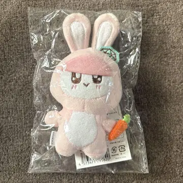 SEVENTEEN 봉봉이 마스코트