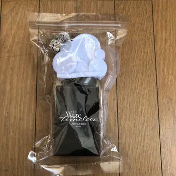 We're timeless Live Tour 2024 응원봉
