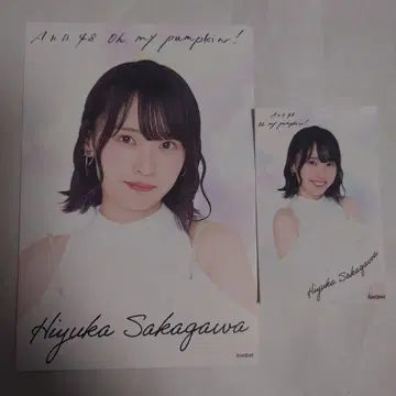 AKB48 사카카와 히카루 SPECIAL 복권 5연 혜택 엽서 스티커