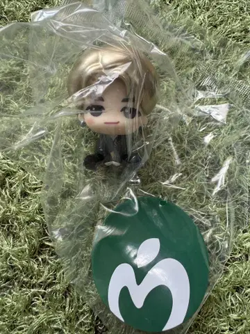 미세스 그린애플 제일복권 C상 와카이 히로토