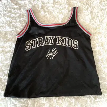Stray Kids 스키즈 에코백 업그레이드 혜택
