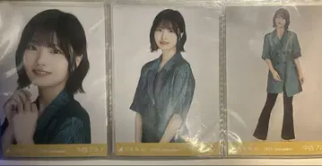 브로마이드 컴프 썸머 자켓 한여름 전국 투어