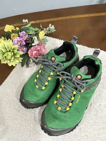 머렐 카멜레온 24cm
