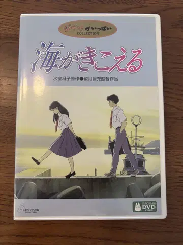바다가 들린다 DVD <2장 세트>(스튜디오 지브리)