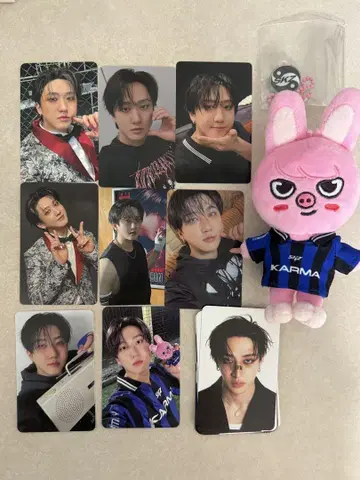 StrayKids 스키즈 skzoo 창빈 돼끼