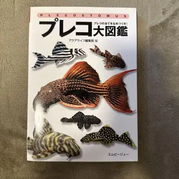 프레코 대도감
