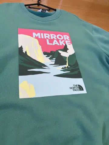 THE NORTH FACE 맨투맨 터콰이즈 블루
