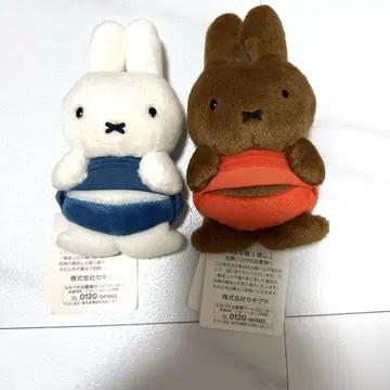 미피 배 보이는 마스코트