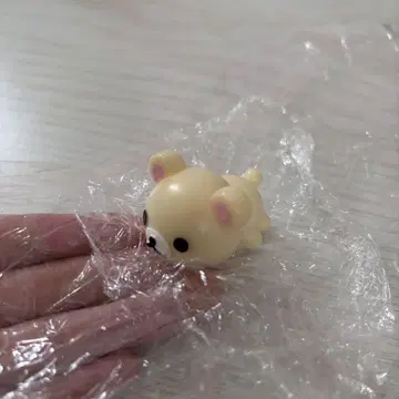 코리락쿠마 모니마루즈 스퀴즈