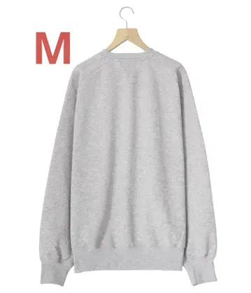 DAIWA PIER39 TECH SWEAT CREW 2023 M 사이즈
