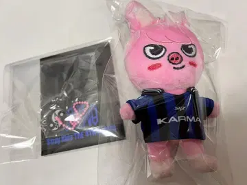 straykids karuma skzoo ver. 돼끼 창빈