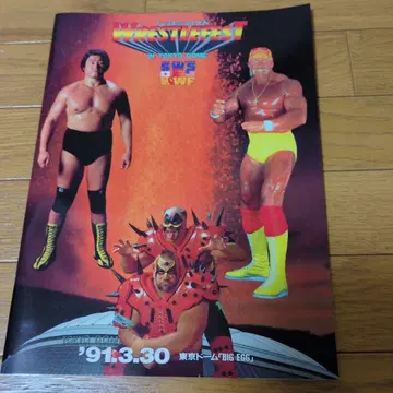 WRESTLE FEST 1991 도쿄돔 프로그램