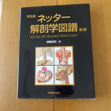 넷터 해부학 도보