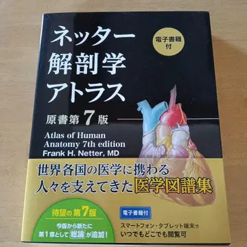 넷터 해부학 아틀라스 제7판